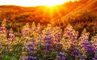 mate40和mate40pro+区别-参数对比（mate40和mate40pro区别参数对比）