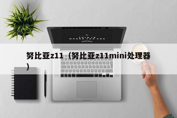 努比亚z11（努比亚z11mini处理器）