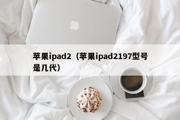 苹果ipad2（苹果ipad2197型号是几代）