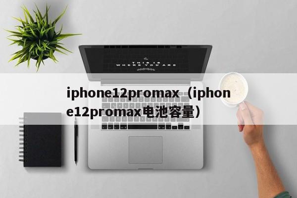 iphone12promax（iphone12promax电池容量）