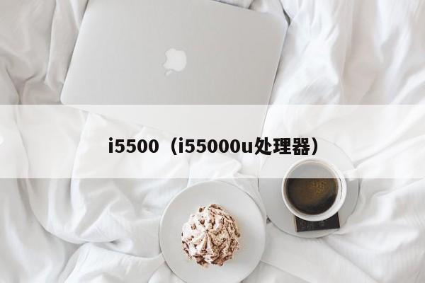 i5500（i55000u处理器）