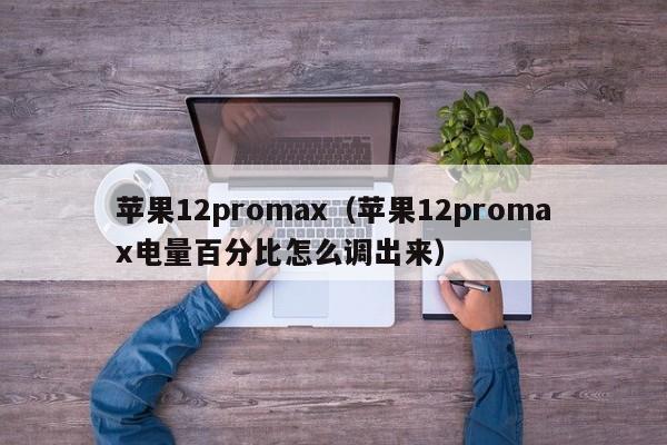 苹果12promax（苹果12promax电量百分比怎么调出来）