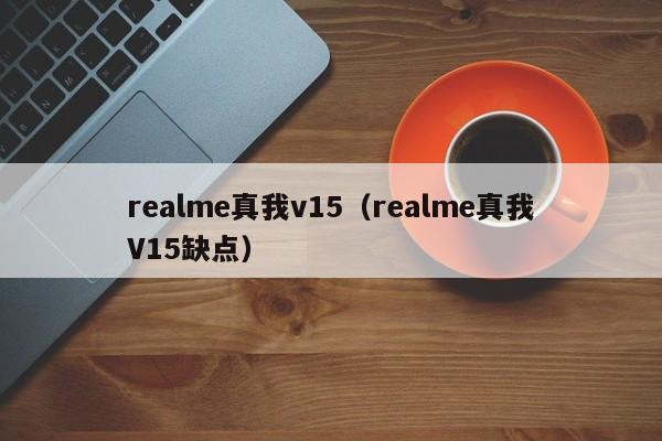 realme真我v15（realme真我V15缺点）