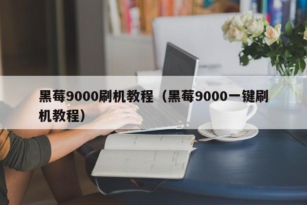 黑莓9000刷机教程（黑莓9000一键刷机教程）