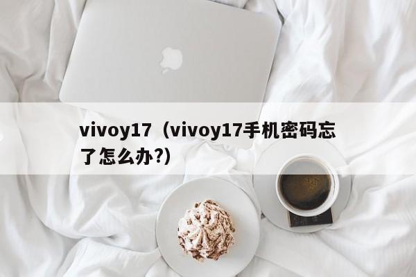 vivoy17（vivoy17手机密码忘了怎么办?）