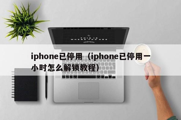 iphone已停用（iphone已停用一小时怎么解锁教程）