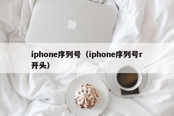 iphone序列号（iphone序列号r开头）