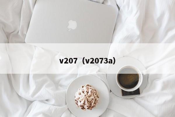 v207（v2073a）