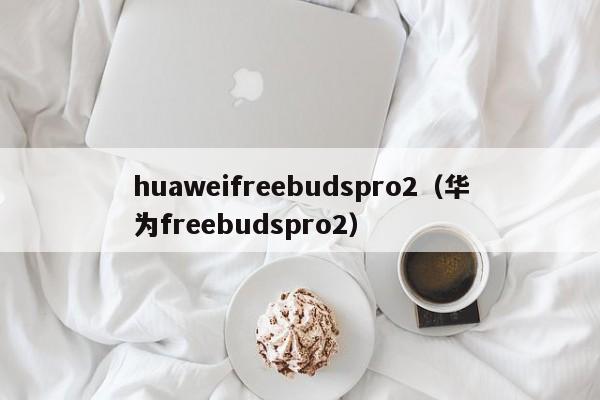 huaweifreebudspro2（华为freebudspro2）