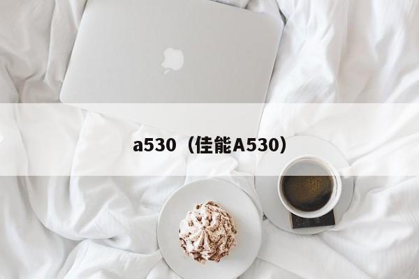 a530（佳能A530）