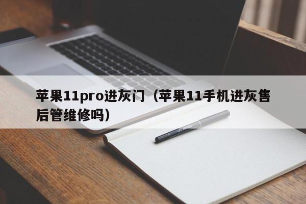 苹果11pro进灰门（苹果11手机进灰售后管维修吗）