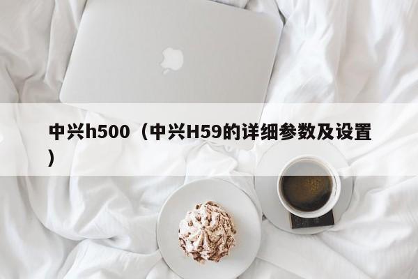 中兴h500（中兴H59的详细参数及设置）