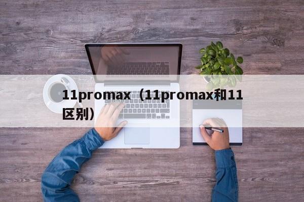 11promax（11promax和11区别）