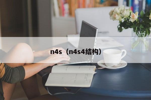 n4s（n4s4结构）