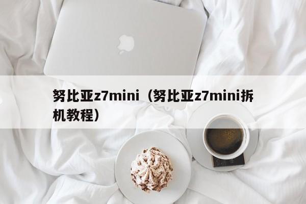 努比亚z7mini（努比亚z7mini拆机教程）