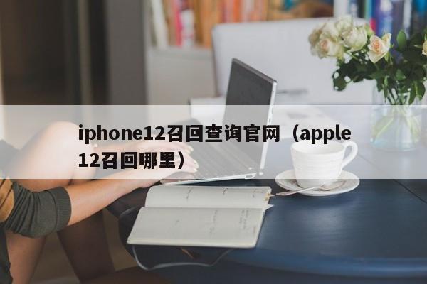 iphone12召回查询官网（apple12召回哪里）