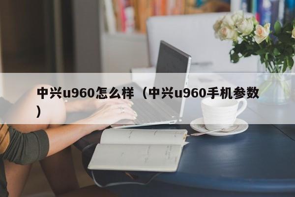 中兴u960怎么样（中兴u960手机参数）