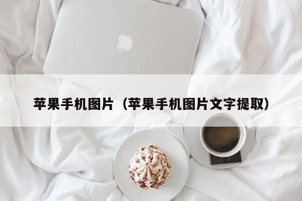 苹果手机图片（苹果手机图片文字提取）