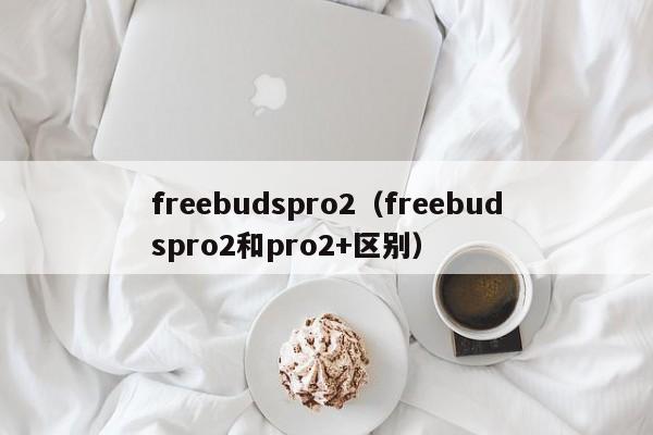 freebudspro2（freebudspro2和pro2+区别）