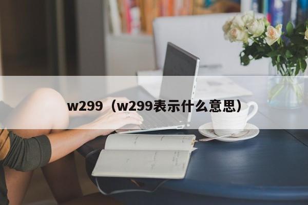 w299（w299表示什么意思）