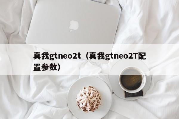 真我gtneo2t（真我gtneo2T配置参数）