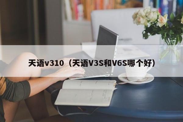 天语v310（天语V3S和V6S哪个好）