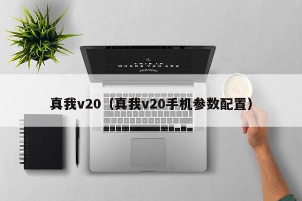 真我v20（真我v20手机参数配置）