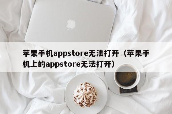 苹果手机appstore无法打开（苹果手机上的appstore无法打开）