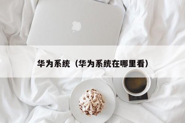 华为系统（华为系统在哪里看）