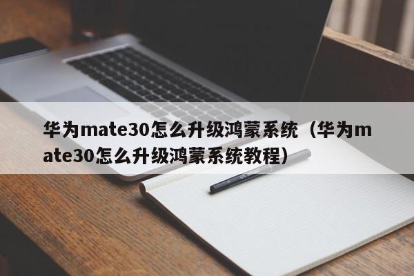 华为mate30怎么升级鸿蒙系统（华为mate30怎么升级鸿蒙系统教程）