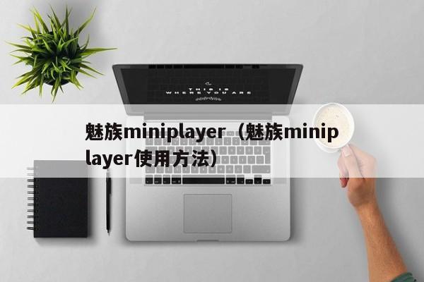 魅族miniplayer（魅族miniplayer使用方法）