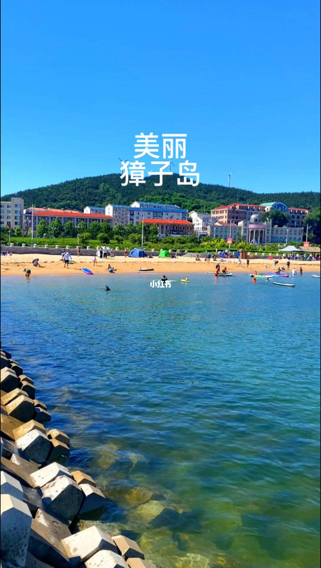 大连獐子岛旅游好不好(大连獐子岛自由行)